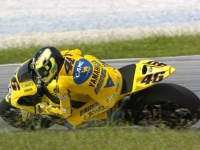 2006